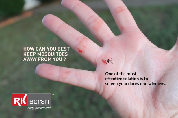 Killing mosquitos with hands_V02